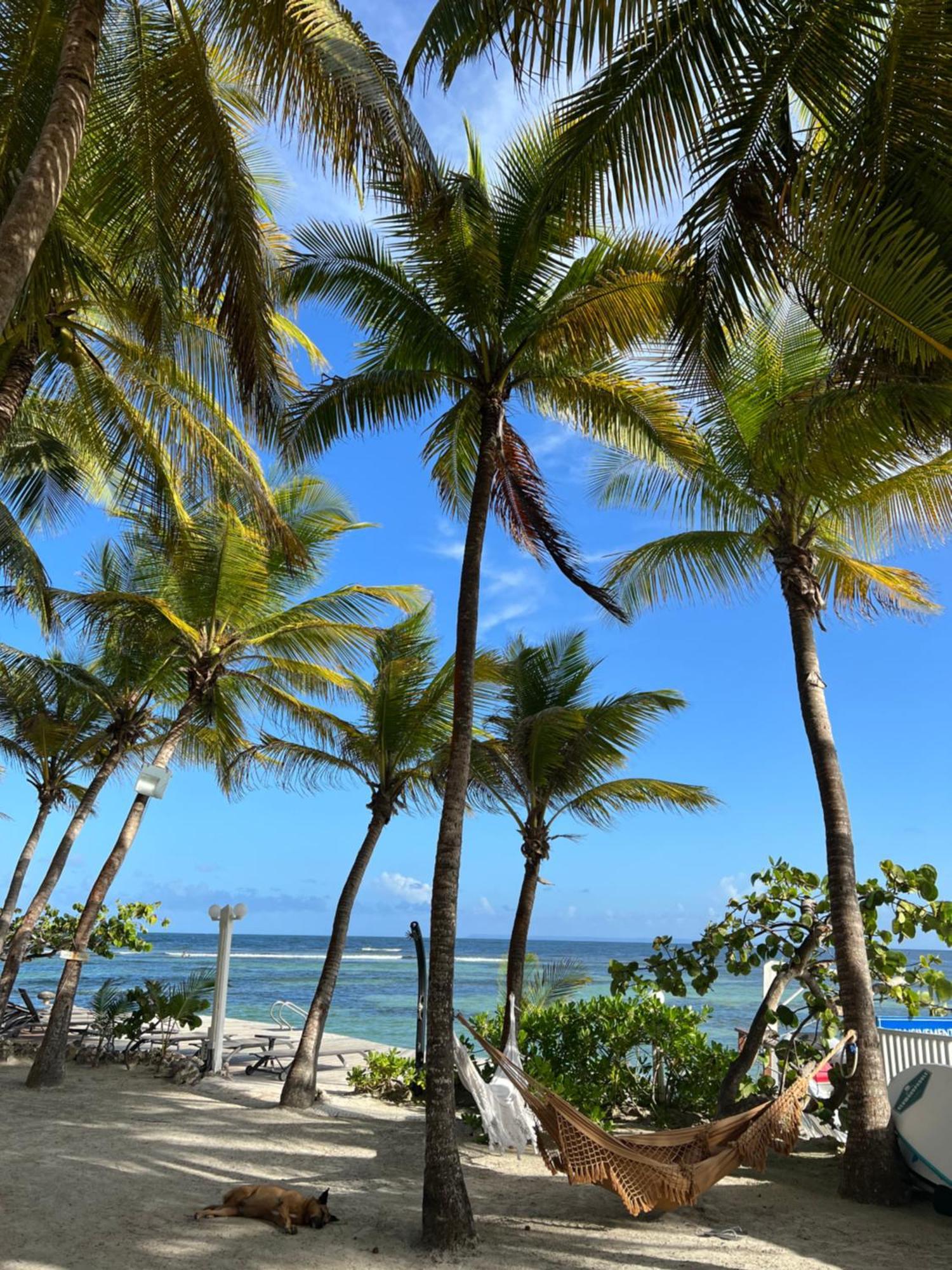 Guadeloupe- Saint-Francois- Residence Anse Des Rochers - Appartement Quart De Villa Etage - Vue Mer- 4 Personnes - Lit Bebe Sur Demande - Citerne Et Wifi Prives -Animaux Ok-Acces Plage Direct -Apnee Bien-Etre Experience Sur Demande Avec Instructeur A Kültér fotó