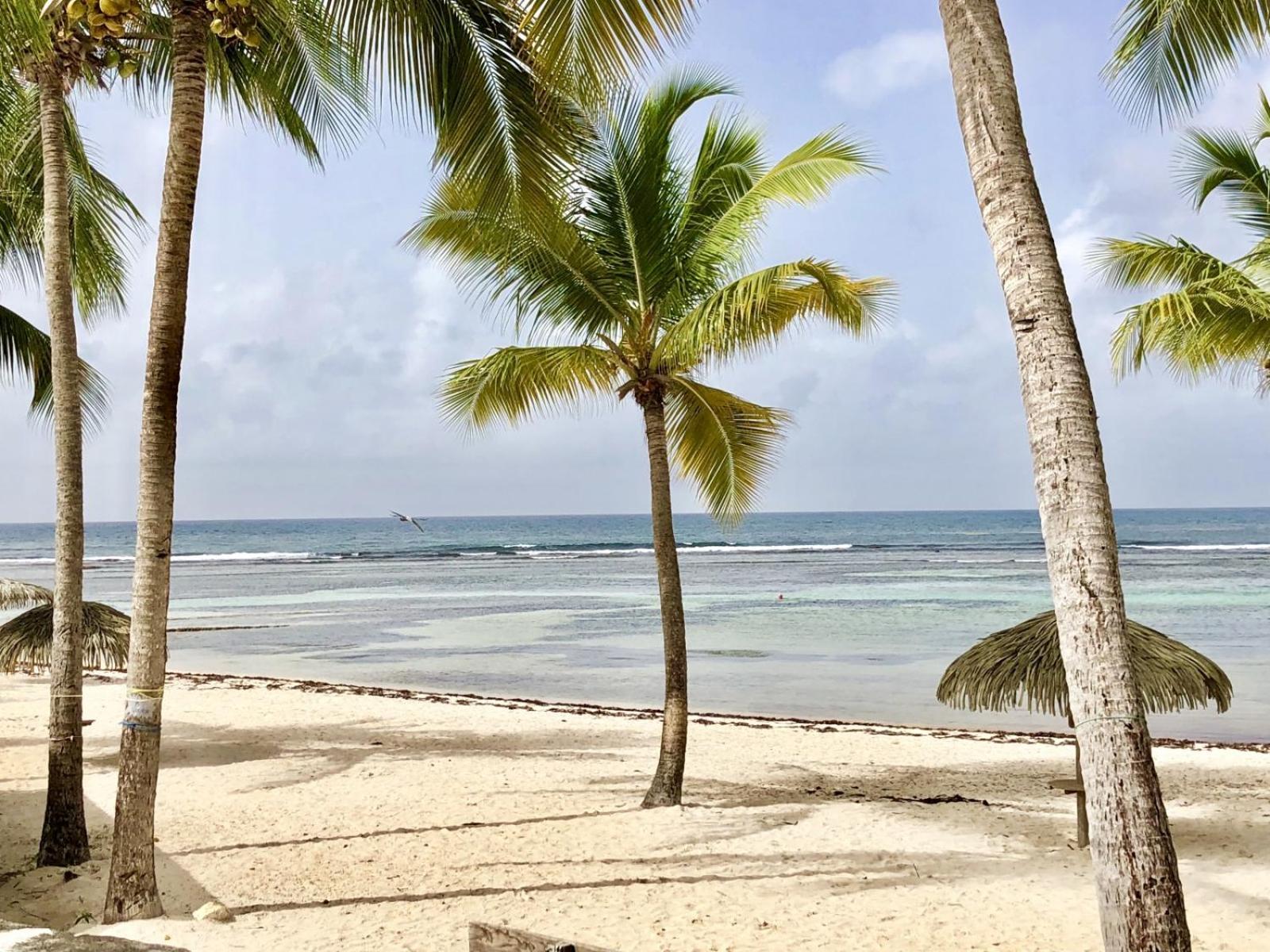 Guadeloupe- Saint-Francois- Residence Anse Des Rochers - Appartement Quart De Villa Etage - Vue Mer- 4 Personnes - Lit Bebe Sur Demande - Citerne Et Wifi Prives -Animaux Ok-Acces Plage Direct -Apnee Bien-Etre Experience Sur Demande Avec Instructeur A Kültér fotó